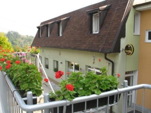 Pension Zlata Noha Pressburg Exterior foto